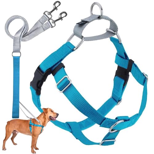 2 Hounds Design 818557021665 No-Pull Dog Harness with LeashMedium (5/8 Zoll Wide) MTurquoise von 2 Hounds Design