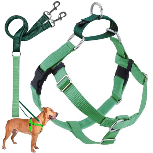 2 Hounds Design 818557021924 No-Pull Dog Harness with LeashMedium (1 Zoll Wide) MNeon Green von 2 Hounds Design