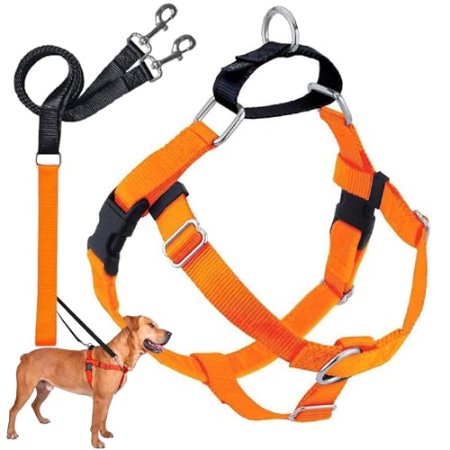 2 Hounds Design 818557021931 No-Pull Dog Harness with LeashMedium (1 Zoll Wide) MNeon Orange von 2 Hounds Design