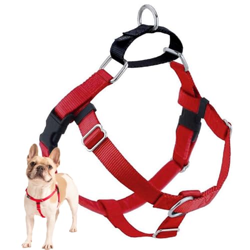 2 Hounds Design Freedom No Pull Hundegeschirr verstellbar sanft komfortable Kontrolle für einfaches Gassigehen mit dem Hund für kleine mittelgroße und große Hunde 25 cm Rot 2 Hounds Design Freedom No Pull Hundegeschirr verstellbar sanft komfortable Kontrolle für einfaches Gassigehen mit dem Hund für kleine mittelgroße und große Hunde 25 cm Rot von 2 Hounds Design