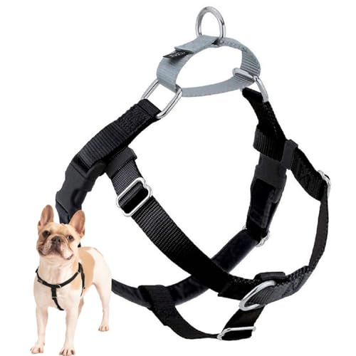 2 Hounds Design Freiheit Wags Whiskers Hundegeschirr gegen Zerren, 5/8 Zoll, klein, schwarz 2 Hounds Design Freiheit Wags Whiskers Hundegeschirr gegen Zerren, 5/8 Zoll, klein, schwarz von 2 Hounds Design