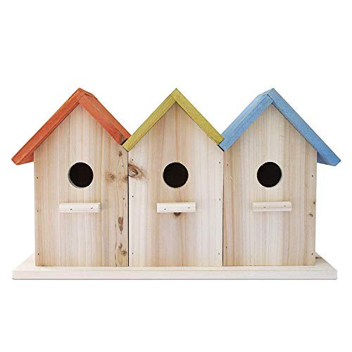 23 Bees Vogelhaus mit 3 Löchern für draußen/drinnen/hängen, Kits für Kinder & Erwachsene, dekoratives Vogelhaus & Heimdekoration, Futterspender im Freien für Vögel, Blauvögel, Zaunkönne & Küken, Allwetter von 23 Bees