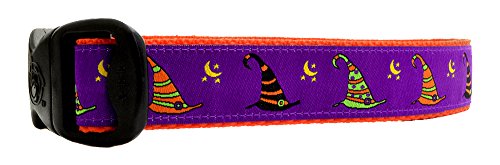 3 Dirty Dawgz Hundehalsband, verstellbar, 2,5 cm, Violett, Hexe, Halloween, für mittelgroße und große Hunde (Größe XL (50,8 - 86,4 cm Halsumfang) von 3 Dirty Dawgz