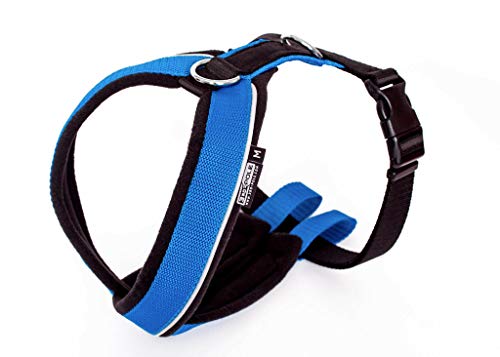 KIIRO Sport Cross Geschirr für Cani-Jogging (XL, Blau) von 3rd-Pole