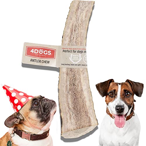 4DOGS Original Hunde-Kauartikel, langlebiges, natürliches Hirschgeweih für Hunde, 15 cm lang, 1 Stück, leichtes Kauen, geteiltes, mittelgroßes Geweih, optimal für mittelgroße Hunde (8–35 kg) von 4DOGS ORIGINAL