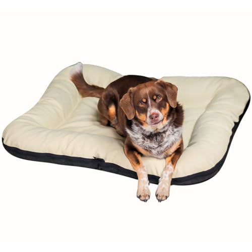 4L Textil Ella Hundebett große Hunde Kunstleder Wasserfestes Hundebett Kunstleder Hundekissen Kunstleder XXL Hundematratze Kunstleder (130x110 cm, Beige) von 4L Textil