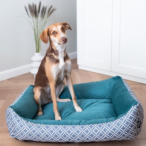 4L Textil OTTO Kuscheliges Hundebett große Hunde Bezug abnehmbar und waschbar Hundekorb große Hunde Hundekissen flauschig Hundekörbchen Hundesofa Petrol (120x100 cm, Türkis) von 4L Textil