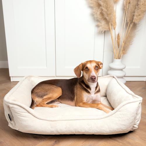 4L Textil IRIS Orthopädisches Hundebett Premium-LINE Hundekorb orthopädisch Kuscheliges Hundebett mit Bezug Memory Foam(100x80 cm, Beige) von 4L Textil