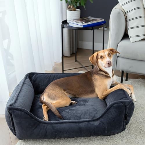 4L Textil IRIS Orthopädisches Hundebett Premium-LINE Hundekorb orthopädisch Kuscheliges Hundebett mit Bezug Memory Foam(100x80 cm, Dunkelgrau) von 4L Textil