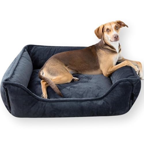 4L Textil IRIS Orthopädisches Hundebett Premium-LINE Hundekorb orthopädisch Kuscheliges Hundebett mit Bezug Memory Foam(100x80 cm, Dunkelgrau) von 4L Textil