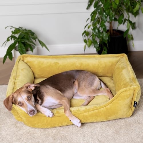 4L Textil IRIS Orthopädisches Hundebett Premium-LINE Hundekorb orthopädisch Kuscheliges Hundebett mit Bezug Memory Foam(80x60 cm, Gelb) von 4L Textil