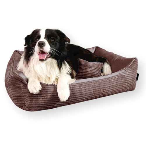 4L Textil Molly Kuscheliges Cord Hundebett Dunkelbraun mit Bezug Hundekorb mittelgroße Hunde Hundekissen Dunkelbraun Hundekörbchen Hundesofa (80x60 cm, Dunkelbraun) von 4L Textil