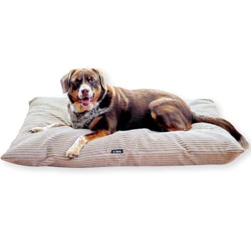 4L Textil ZOE Hundekissen Cord Beige Hundebett mittelgroße Hunde mit Bezug und Reißverschluss Hundebett Cord kuscheliges Hundekissen waschbar (80x60 cm, Latte(Stripes)) von 4L Textil