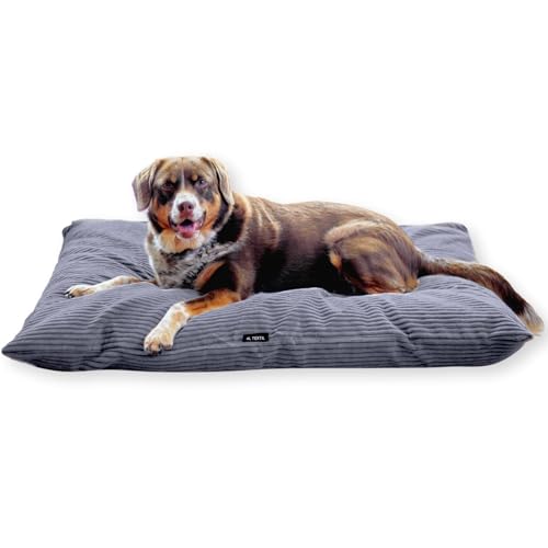 4L Textil ZOE Hundekissen Cord Hundekissen waschbar mit Bezug Hundebett Cord Hundekissen waschbar Hundebett abziehbarer Bezug (60x50 cm, Graphit(Stripes)) von 4L Textil