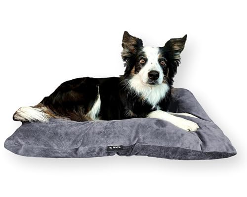 4L Textil ZOE Hundekissen waschbar mit Bezug und Reißverschluss Hundekissen Grosse Hunde Hundematte Liegekissen für Hunde waschbares Hundebett Grosse Hunde (120x100 cm, Graphit(Samt-imitat)) von 4L Textil