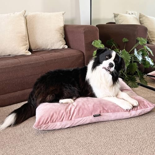 4L Textil ZOE Hundekissen waschbar mit Bezug und Reißverschluss Hundekissen Grosse Hunde Hundematte Liegekissen für Hunde waschbares Hundebett Grosse Hunde (80x60 cm, Pastellrosa(Samt-imitat)) von 4L Textil