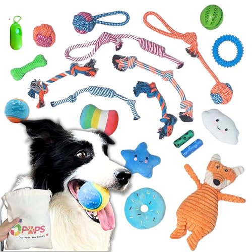 5 PUPS Kauspielzeug für Welpen, mit Seilen, Gummispielzeug, Leckerliball, Quietschspielzeug, Gummiball, Plüsch-Stofftiere, Kotbeutel und Halter mit Aufbewahrungstasche mit Kordelzug, Blau und Orange, von 5 PUPS