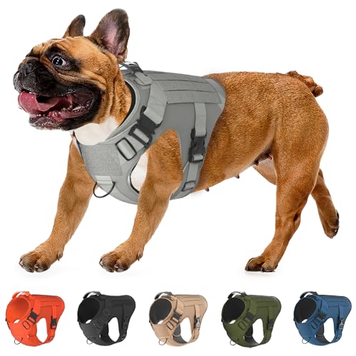 Hundegeschirr-Set inkl. taktischer Leine und Tasche Arbeitende Hundeweste MOLLE-Weste mit Griff, kein Ziehen an der Vorderleine,99.1 cm, Rhino Grey) von 561PRODUCTS