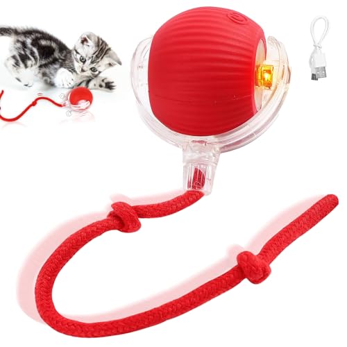 71Nmly Interaktives Katzenspielzeug Katzenball,Elektrisch Katzenspielzeug Ball,Automatisch Rollender Intelligenz Katzenspielzeug Ball Für Katzen Hunde,Cat Toy Für Indoor Outdoor Multifunktionale von 71Nmly