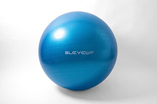 8LevelUp Megaball - 1m großer Ball für Pferdetraining von 8LevelUp