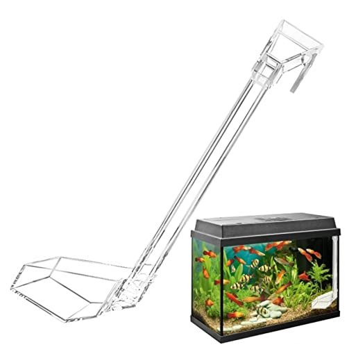 Aquarium Shrimp Feeder, Transparent Shrimp Feeding Dish Large Diameter for Aquarium Feeding Tube for Fish Tank, A/a von A/A