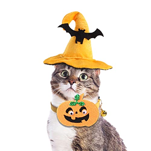 A/R Halloween-Katzen-Kostüm, Fledermaus-Hexenhut und Kürbis-Halsband für Katzen – Halloween-Party-Haustier-Kostüme für kleine, mittelgroße Katzen, Kätzchen von A/R