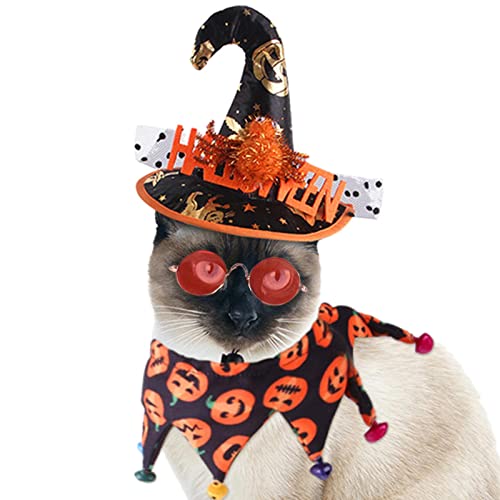 A/R Haustier Halloween Party Kostüm, Premium Halloween Haustier Kostüm Kits mit Hut, Schal, Brille | Verstellbare Katze Halloween Haustier Hexenhut für Katzen Welpen Haustiere von A/R