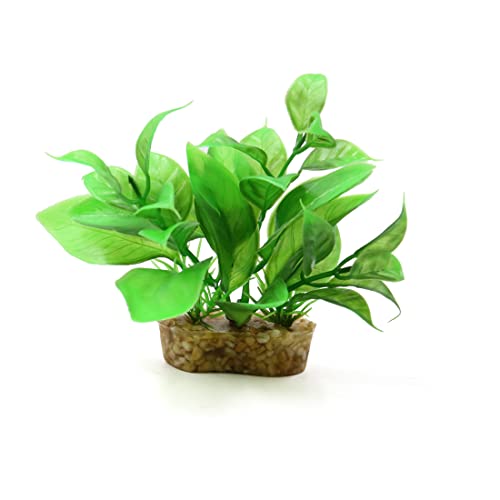 A ABSOPRO Mini Pflanze Terrarium Reptilien Lebensraum Dekor Haushalt Ornament von A ABSOPRO
