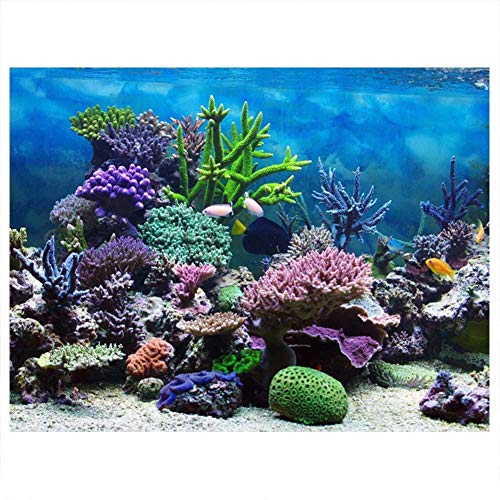 Aquarium-Poster, PVC, selbstklebend, Unterwasserkoralle, Hintergrundposter, Dekoration, Papier, Aquarium-Poster (76 x 30 cm) von A sixx