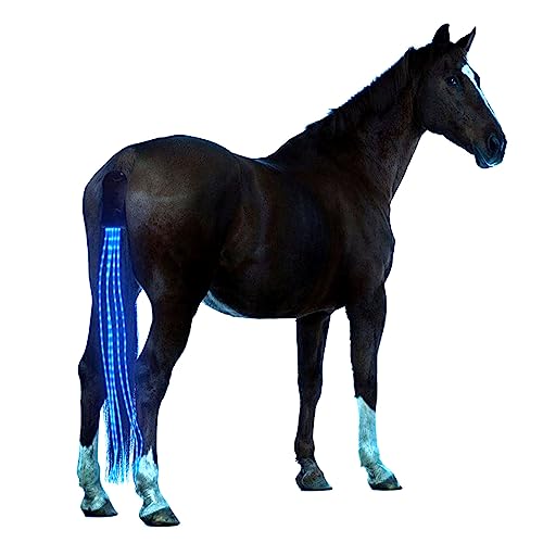 A&K L'YDIA Pferdeschwanz-LED-Lichtleiste, 100 cm, Pferdeausrüstung, Reitschwanz, Trapings, Reitsport, Typ-C Charge Pferdeschwanz-Tasche für Pferdeshows (blau) von A&K L'YDIA