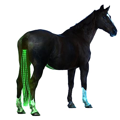 A&K L'YDIA Pferdeschwanz-LED-Lichtleiste, 100 cm, Pferdeausrüstung, Reitschwanz, Trapings, Reitsport, Typ-C Charge Pferdeschwanz-Tasche für Pferdeshows (grün) von A&K L'YDIA