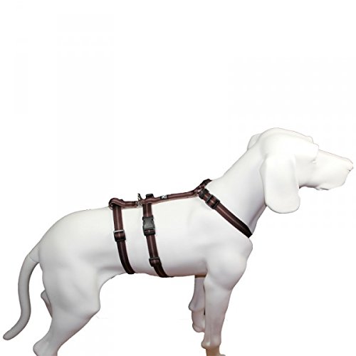 A. Hoffmann GmbH No Exit ausbruchsicheres Hundegeschirr für Angsthund, Sicherheitsgeschirr für Pflegehund, Panikgeschirr, braun Streifen, Bauchumfang 55-75 cm, 20 mm Bandbreite von A. Hoffmann GmbH