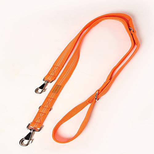 A. Hoffmann GmbH Super Soft Nylonleine, Führleine Neonorange, 3-Fach verstellbar 100-210 cm, 20 mm - passend zu den Feltmann Hundegeschirren, inneliegend ausgepolstert, reflektierend von A. Hoffmann GmbH