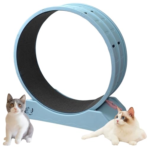 AAADRESSES Laufband FüR Katzen Mit Bremse,Laufrad FüR Katzen FüR Wohnungskatzen,Katzenrad TrainingsgeräT,Katzenlaufrad, Fitness Und Gesundheit Katze,Blau,80 * 35 * 85cm von AAADRESSES