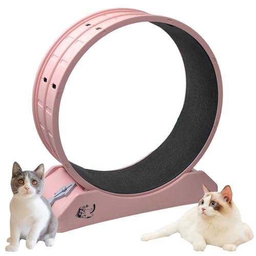 AAADRESSES Laufband FüR Katzen Mit Bremse,Laufrad FüR Katzen FüR Wohnungskatzen,Katzenrad TrainingsgeräT,Katzenlaufrad, Fitness Und Gesundheit Katze,Rosa,80 * 35 * 85cm von AAADRESSES