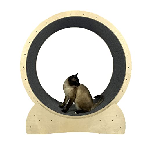 Katzenlaufrad Katzenlaufrad Katzenlaufrad Katzenlaufband mit Riesenrad Katzenübungsgewichtsverlustgerät für Katzen im Innenbereich von AAPIE