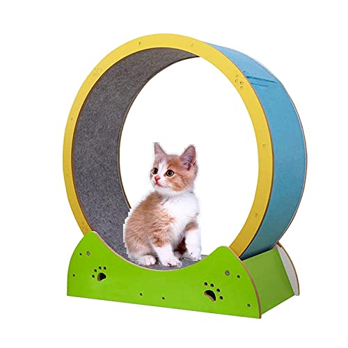 Laufband für Katzen, Klettergerüst für Katzen, Riesenrad, Katzenkratzer, Laufen, Spinning-Spielzeug für Katzen, kleine/mittelgroße tägliche Übungen von AAPIE