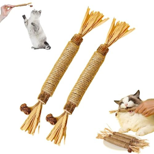 Katze kauen Stick- natürliche Silvervine Stick Katze kauen Spielzeug, Katze kauen Spielzeug, Silvervine Sticks für Katzen, Kauspielzeug für Katzen, Catnip Sticks Katze Zähne Reinigung Spielzeug (2pcs) von AAPIKA