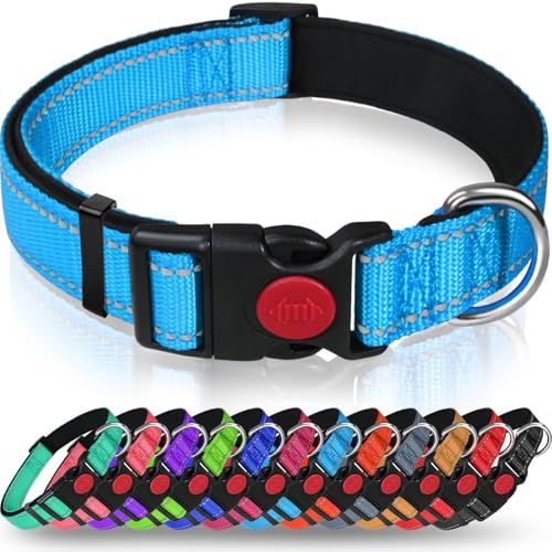 AASPIRE PETS Verstellbares reflektierendes Nylon-Hundehalsband für Katzen und kleine Hunderassen – wasserdichtes Halsband mit Sicherheits-Schnellverschluss-Schnalle und D-Ring – weiche Trainingsleine, von AASPIRE PETS