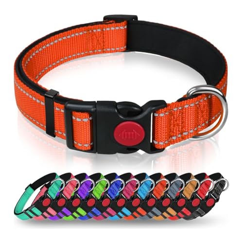 AASPIRE PETS Verstellbares Hundehalsband aus Nylon mit Sicherheitsverschluss – langlebig und bequem für kleine bis mittelgroße Hunde (Orange-S) von AASPIRE PETS