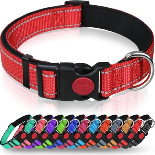 AASPIRE PETS Verstellbares Hundehalsband aus Nylon mit Sicherheitsverschluss – langlebig und bequem für kleine bis mittelgroße Hunde (Rot, S) von AASPIRE PETS