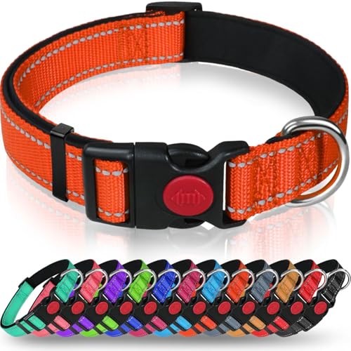 AASPIRE PETS Verstellbares reflektierendes Nylon-Hundehalsband für Katzen und mittelgroße Hunde – wasserdichtes Halsband mit Sicherheitsschnellverschluss-Schnalle und D-Ring – weiche Trainingsleine, von AASPIRE PETS