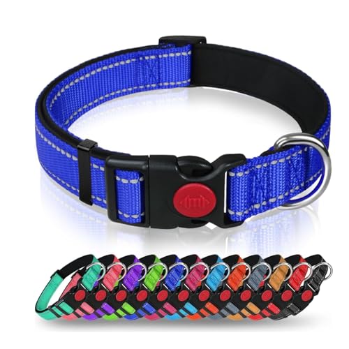 Hundehalsband mit Sicherheitsverriegelungsschnalle, verstellbares Nylon-Haustierhalsband für große Hunde, männlich & weiblich (Dunkelblau, klein) von AASPIRE PETS