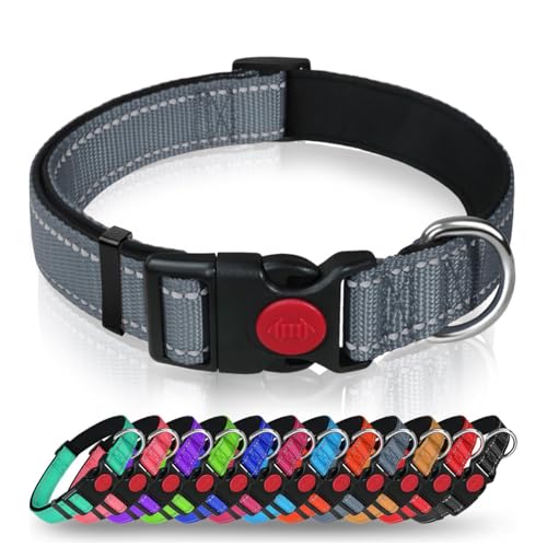 Hundehalsband mit Sicherheitsverriegelungsschnalle, verstellbares Nylon-Haustierhalsband für große Hunde, männlich & weiblich (Grau, Medium) von AASPIRE PETS