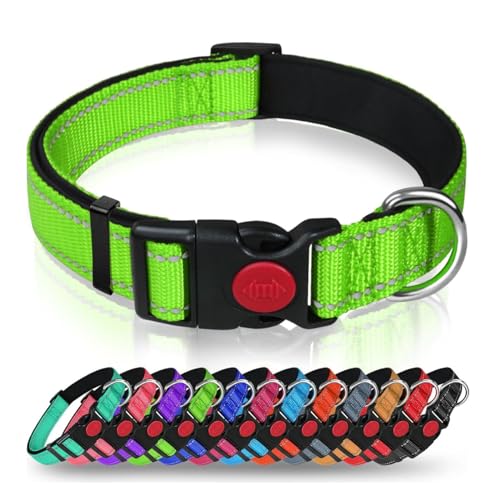 Hundehalsband mit Sicherheitsverriegelungsschnalle, verstellbares Nylon-Haustierhalsband für große Hunde, männlich & weiblich (Neongrün, Medium) von AASPIRE PETS