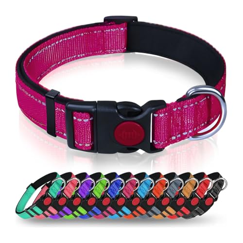 Hundehalsband mit Sicherheitsverriegelungsschnalle, verstellbares Nylon-Haustierhalsband für große Hunde, männlich & weiblich (Pflaume, Medium) von AASPIRE PETS