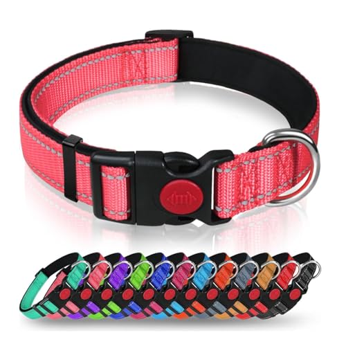 Hundehalsband mit Sicherheitsverriegelungsschnalle, verstellbares Nylon-Haustierhalsband für große Hunde, männlich & weiblich (Rosa, klein) von AASPIRE PETS