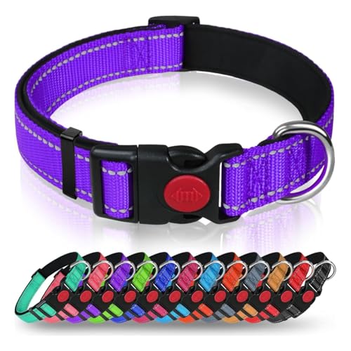 AASPIRE PETS Verstellbares reflektierendes Nylon-Hundehalsband für Katzen und große Hunderassen, wasserdichtes Halsband mit Sicherheitsschnellverschluss-Schnalle und D-Ring, weiche Trainingsleine, von AASPIRE PETS