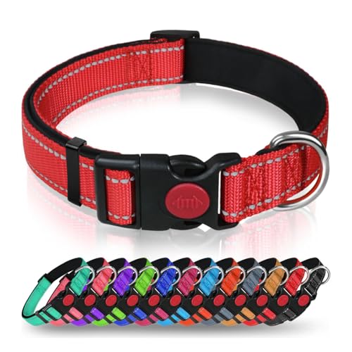 Hundehalsband mit Sicherheitsverriegelungsschnalle, verstellbares Nylon-Haustierhalsband für große Hunde, männlich & weiblich (rot, groß) von AASPIRE PETS