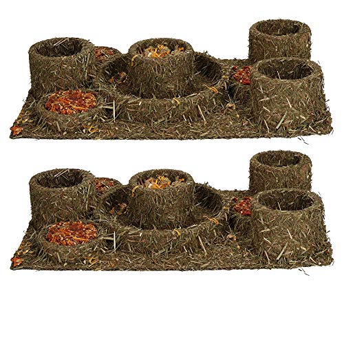 AB/ Rosewood Kleintier-PET behandeln Meerschweinchen Naturals ausblenden Labyrinth 2PK von AB/ Rosewood